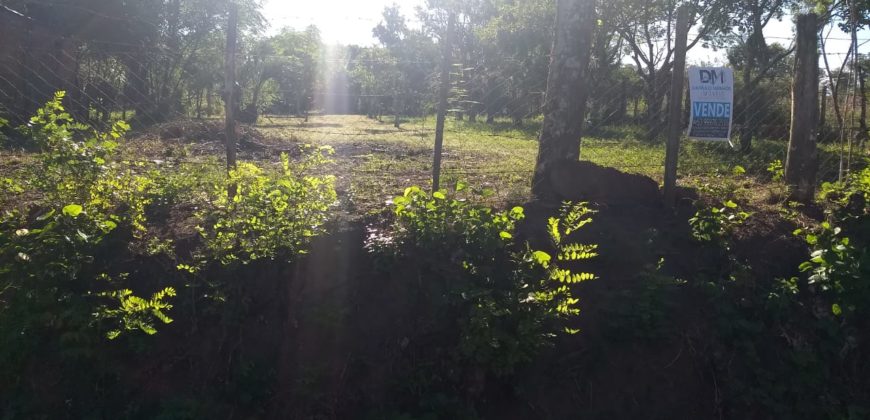 TERRENO EM SÃO MARTIM