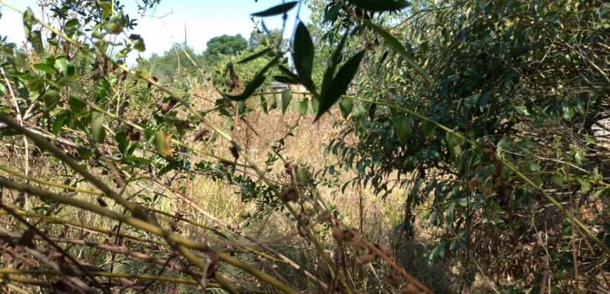 TERRENO NO AEREOPORTO