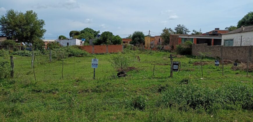 ÓTIMOS TERRENOS – STA.CECÍLIA