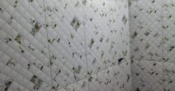 BOM SOBRADO TODO REFORMADO