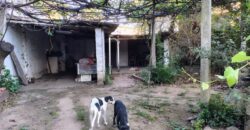 CASA PERTO EMPRESA ANVERSA