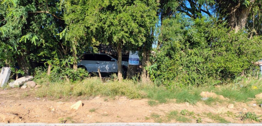 EXCELENTE TERRENO 15 X 217,5 M           =      3.263,1 m ²