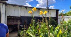 CASA DE MADEIRA NOBRE (ótima conservação)