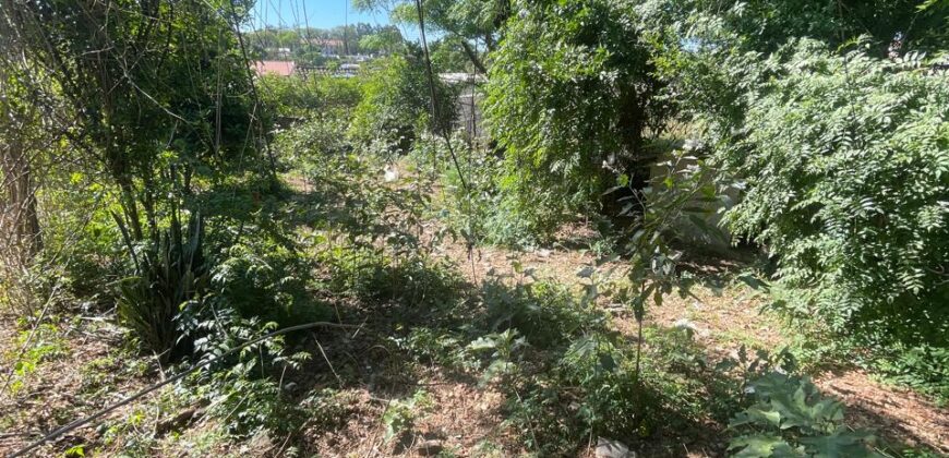 BOA CASA A MEIA QUADRA DO COLÉLIO JULINHA – MEIA QUADRA ASFALTO –