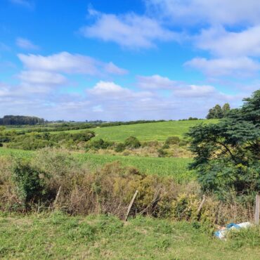 ÁREA COM 11 HECTARES, AO LADO DO ASFALTO – FUNDOS DA UNIPAMPA