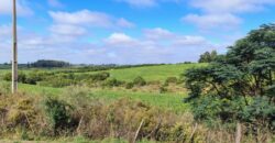 ÁREA COM 11 HECTARES, AO LADO DO ASFALTO – FUNDOS DA UNIPAMPA