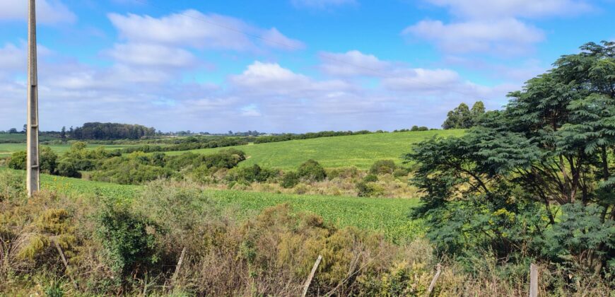 ÁREA COM 11 HECTARES, AO LADO DO ASFALTO – FUNDOS DA UNIPAMPA