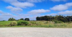 ÁREA COM 11 HECTARES, AO LADO DO ASFALTO – FUNDOS DA UNIPAMPA