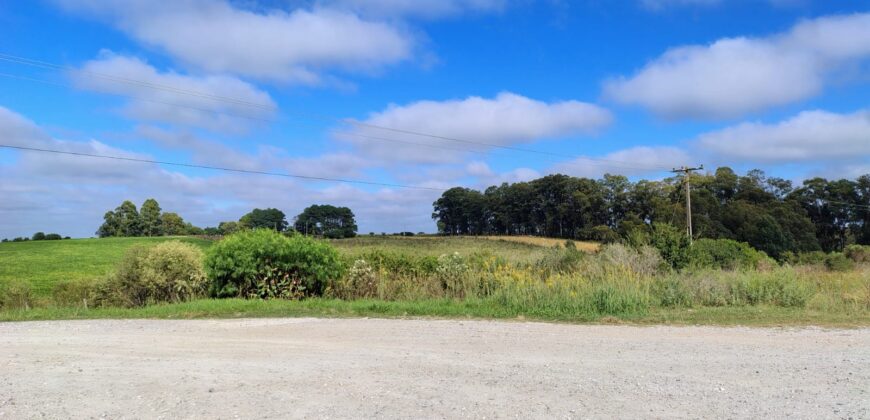 ÁREA COM 11 HECTARES, AO LADO DO ASFALTO – FUNDOS DA UNIPAMPA