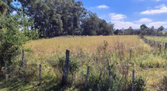 ÁREA RURAL PRÓPRIA PARA SÍTIO