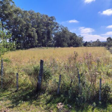 ÁREA RURAL PRÓPRIA PARA SÍTIO