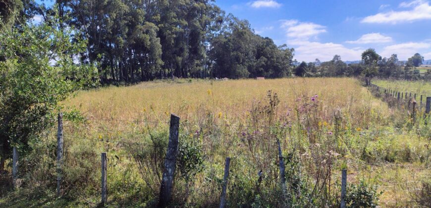 ÁREA RURAL PRÓPRIA PARA SÍTIO